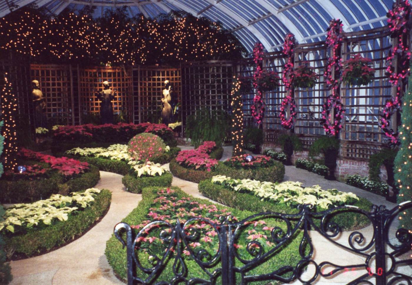 Phipps Conservatory Winter Flower Show and Light Garden