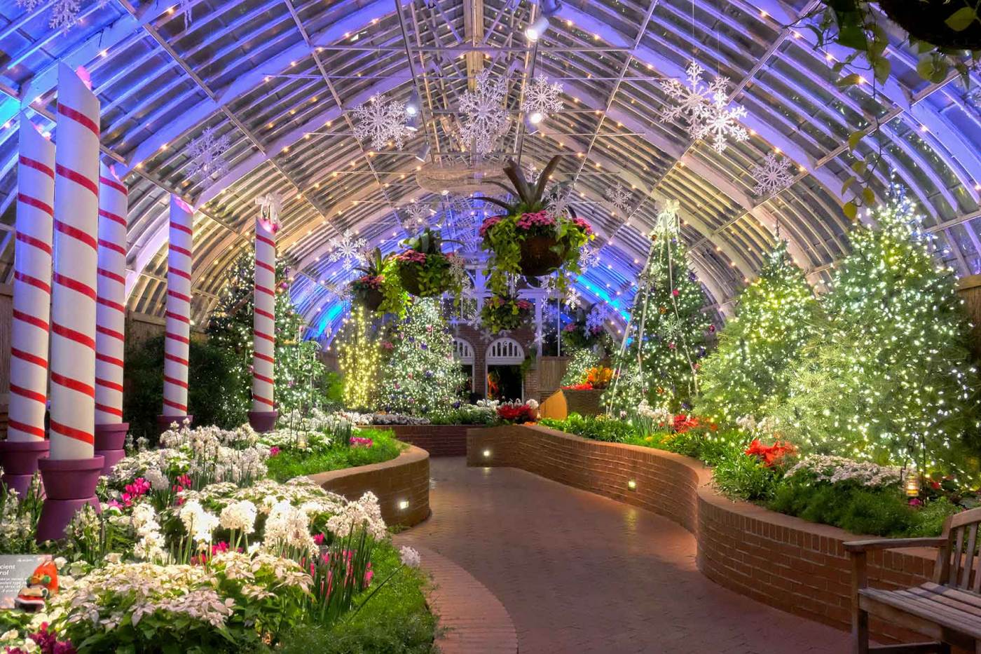 Phipps Conservatory Winter Flower Show and Light Garden