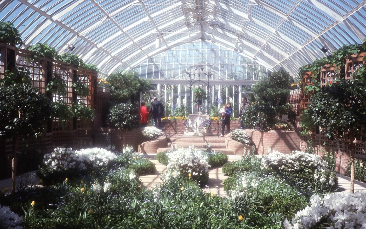 History of Phipps